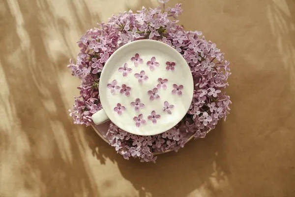 12 PC Fancy White & Silver Coffee Cup