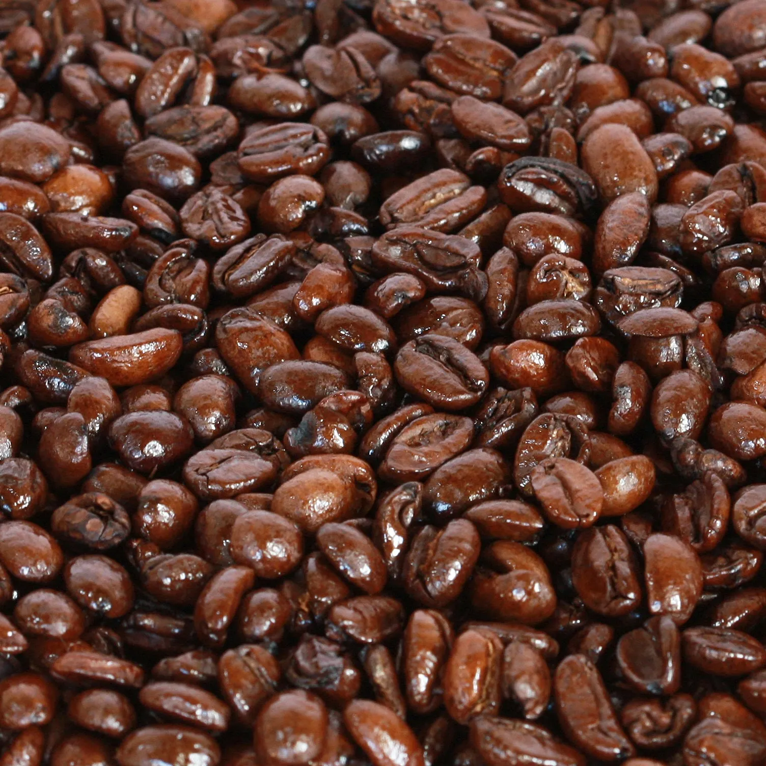 Aroma Special Roast Beans