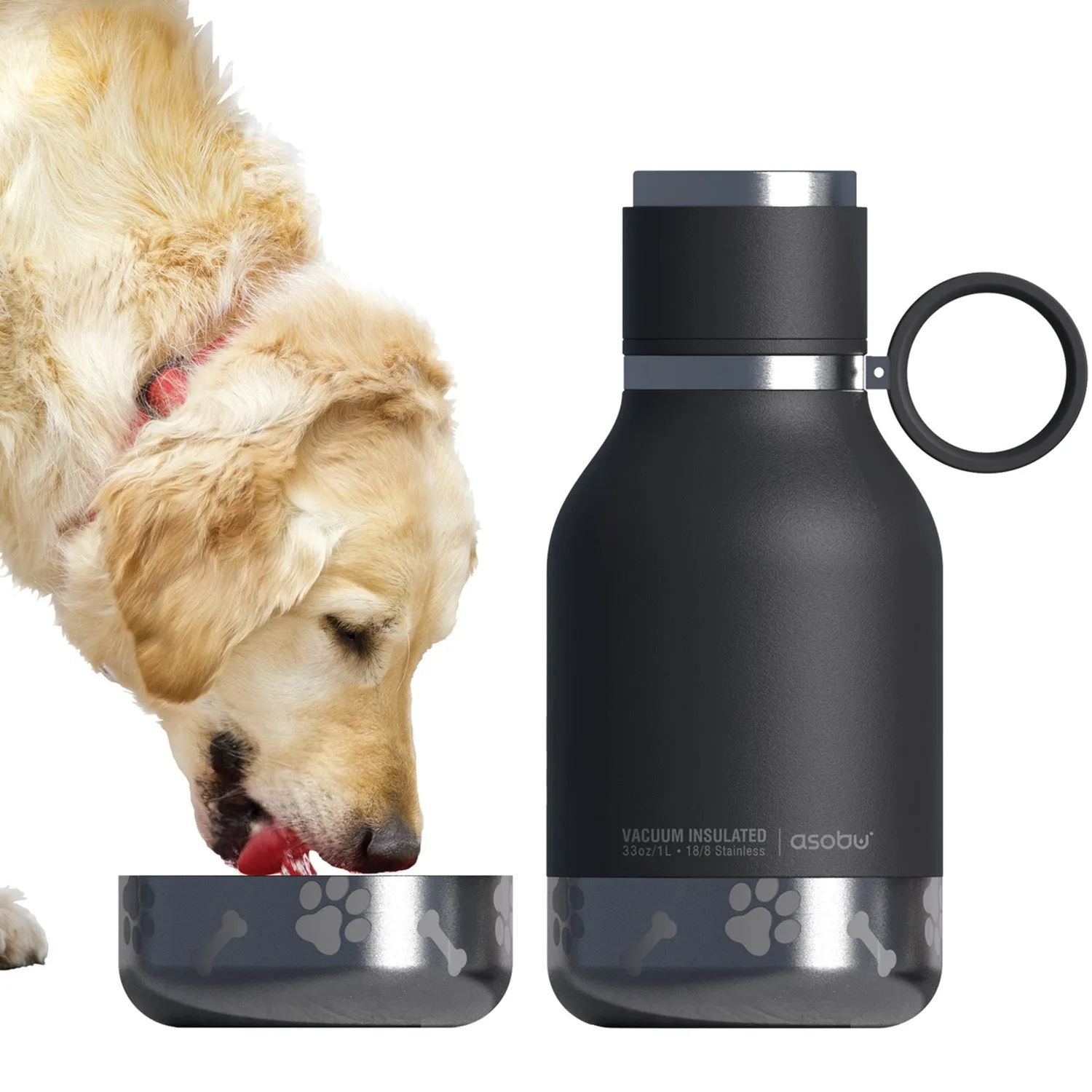 Asobu Dog Bowl Water Bottle Insulated