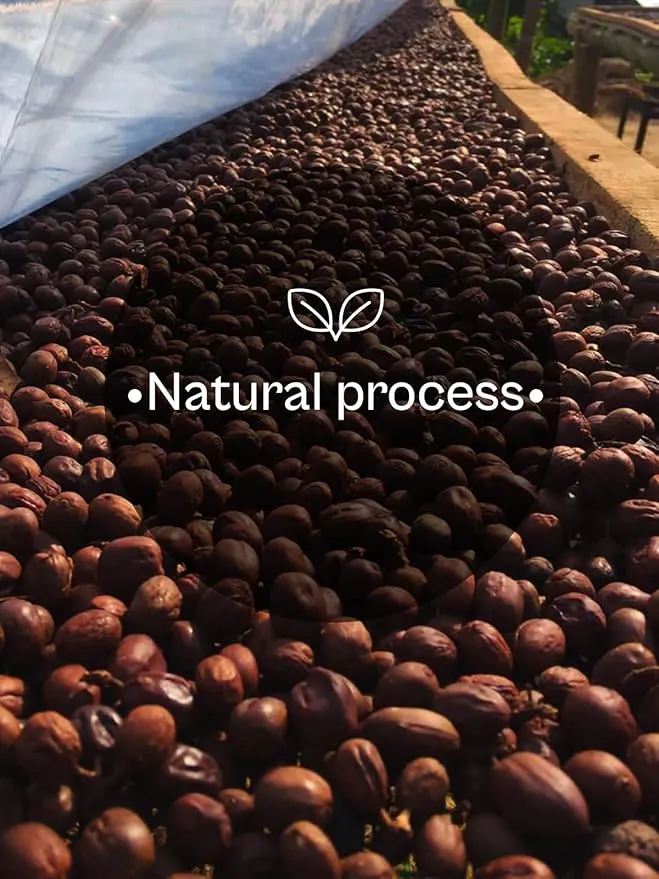 BYNEMARA - SAVI | Single Estate Home Grown Coffee | Notes of Mixed Berry and Sugarcane | Specialty Arabica Natural Process