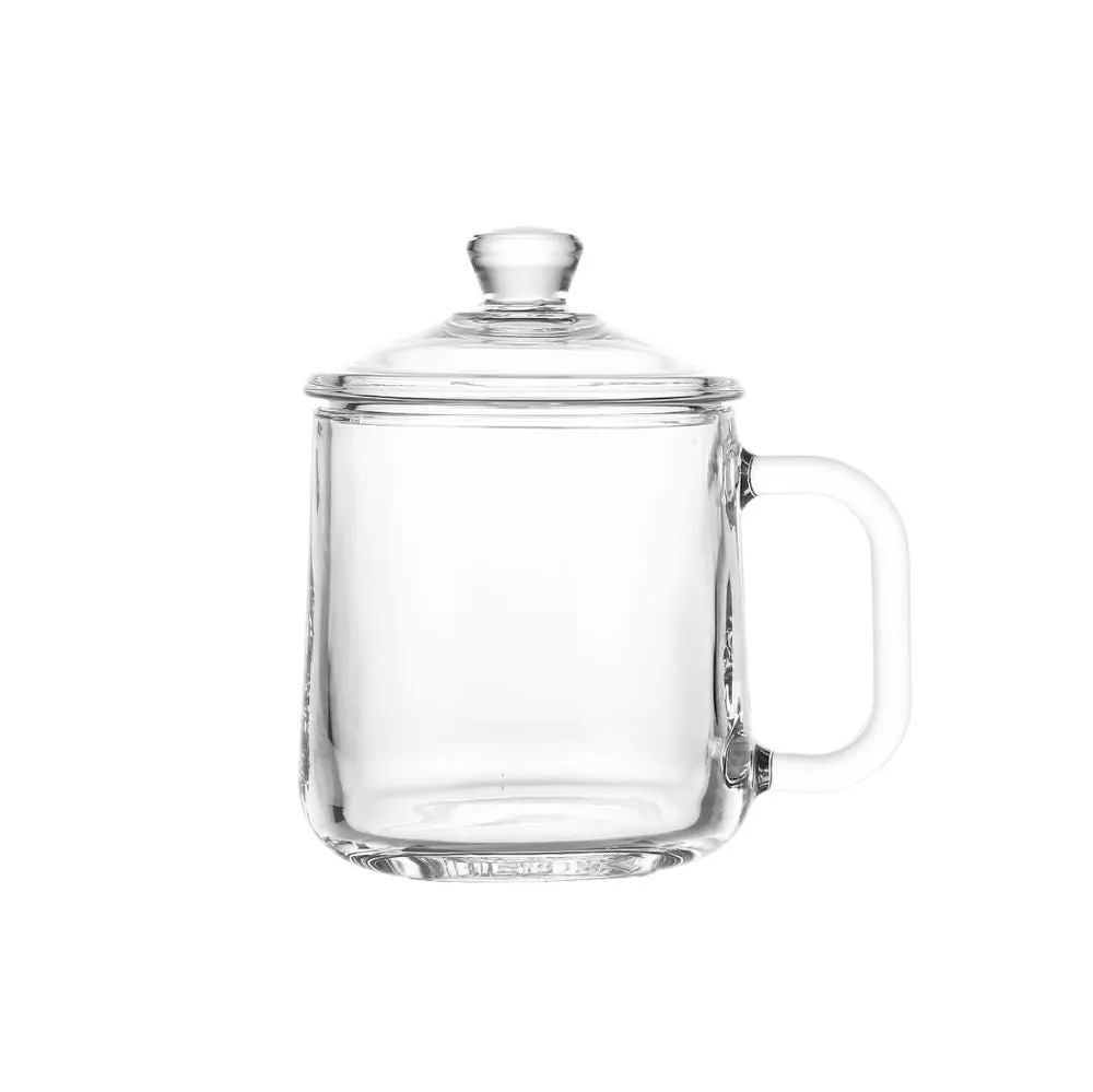 Delisoga Glass Coffee Mug With Lid