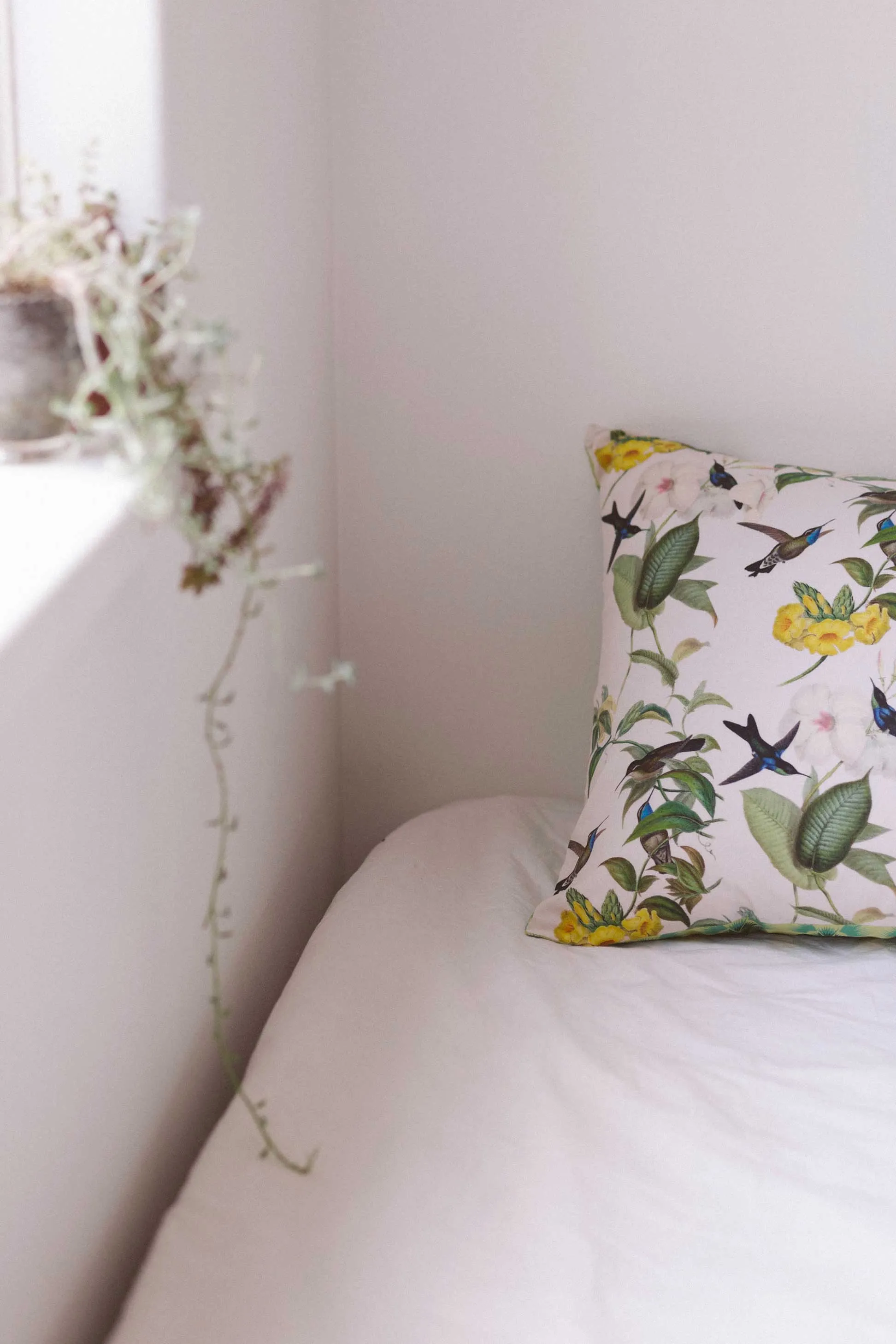 Hummingbird pillowcase set *organic cotton