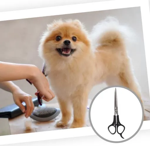 Rechargeable Pet Grooming Low Noise Clipper Kit